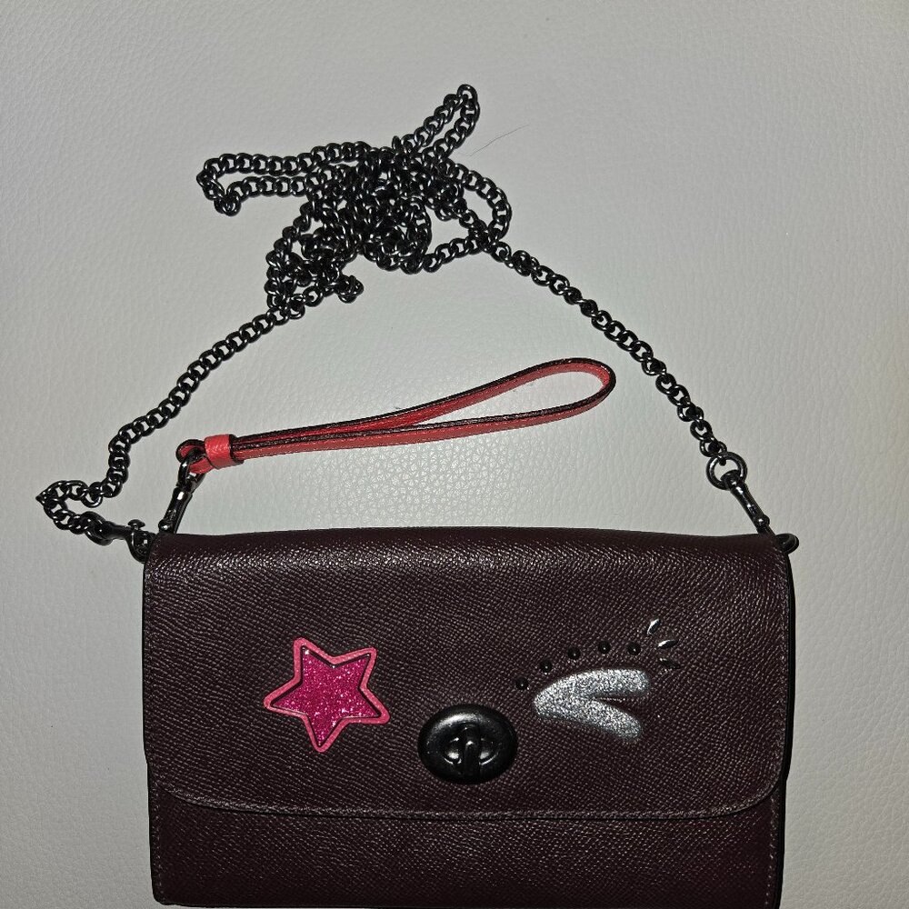 Chocolate Brown Coach leather clutch